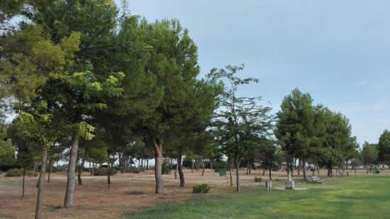 Parque de la Fiesta del Árbol